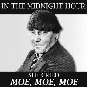 Meet your Posher, Maureen